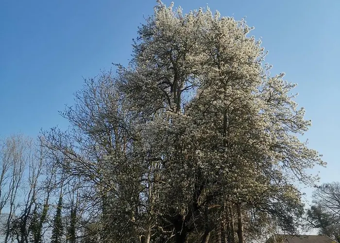 Manoir Des Carreaux Апартаменты *